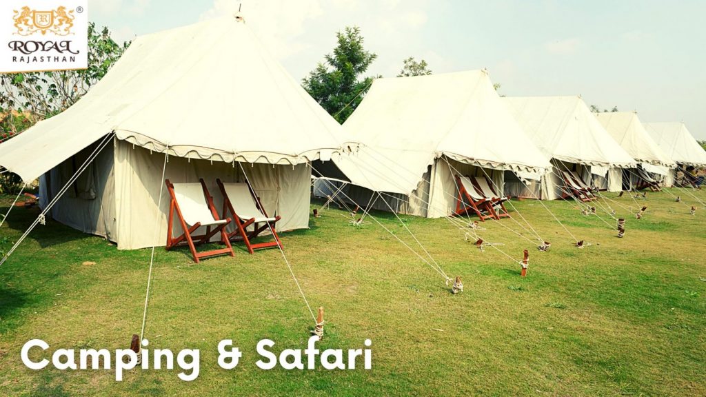 Camping and Safari 